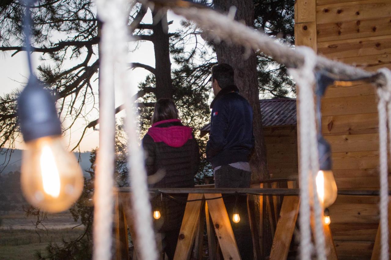 Wooden Inn - Cabanas Boutique Y Bubble Glamping En Creel Luaran gambar