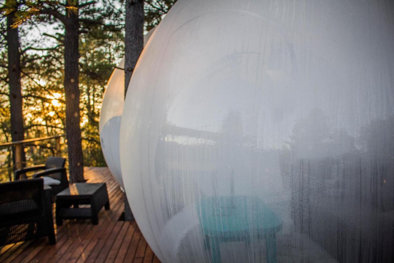 Wooden Inn - Cabanas Boutique Y Bubble Glamping En Creel Luaran gambar