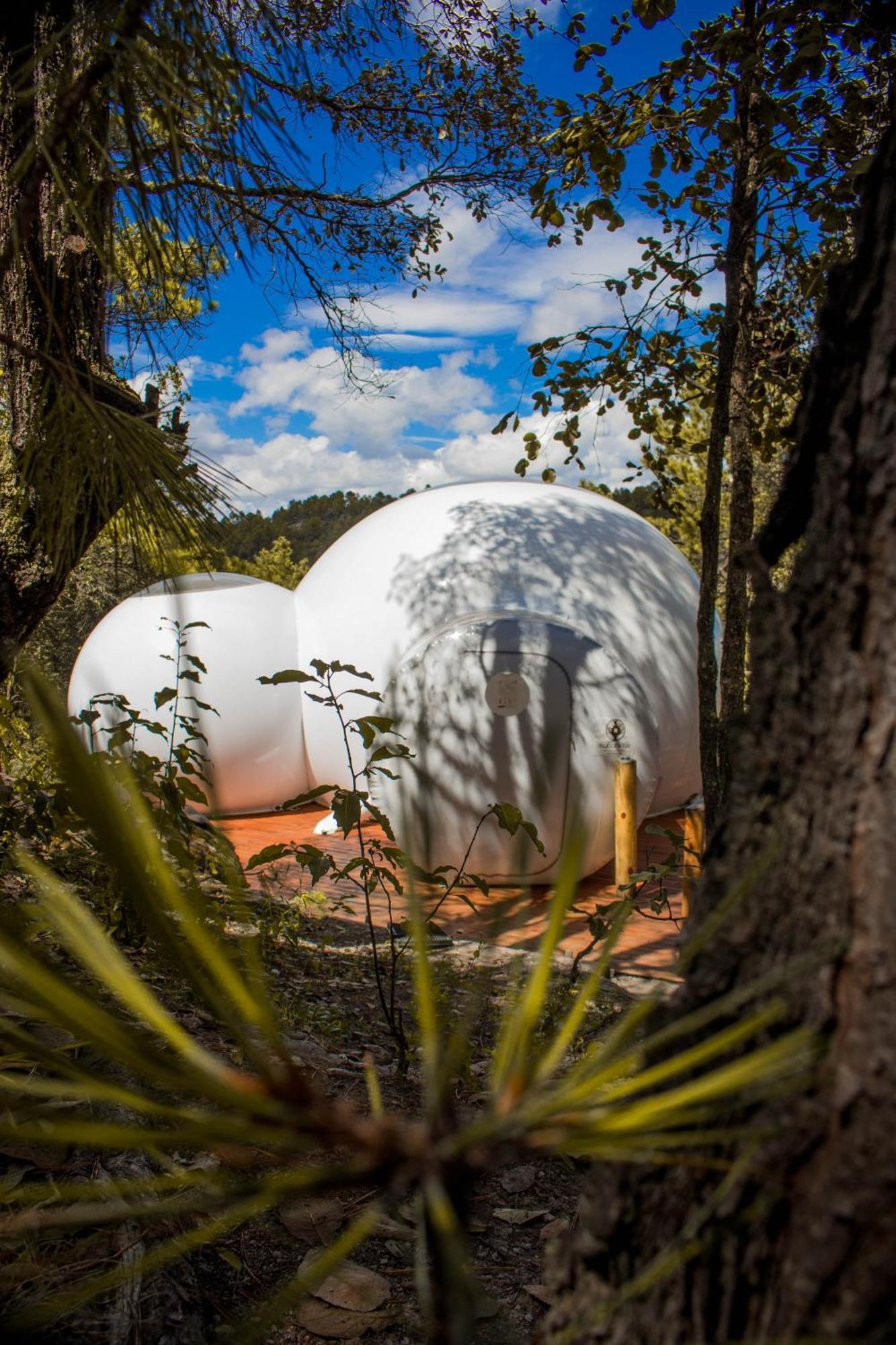 Wooden Inn - Cabanas Boutique Y Bubble Glamping En Creel Luaran gambar